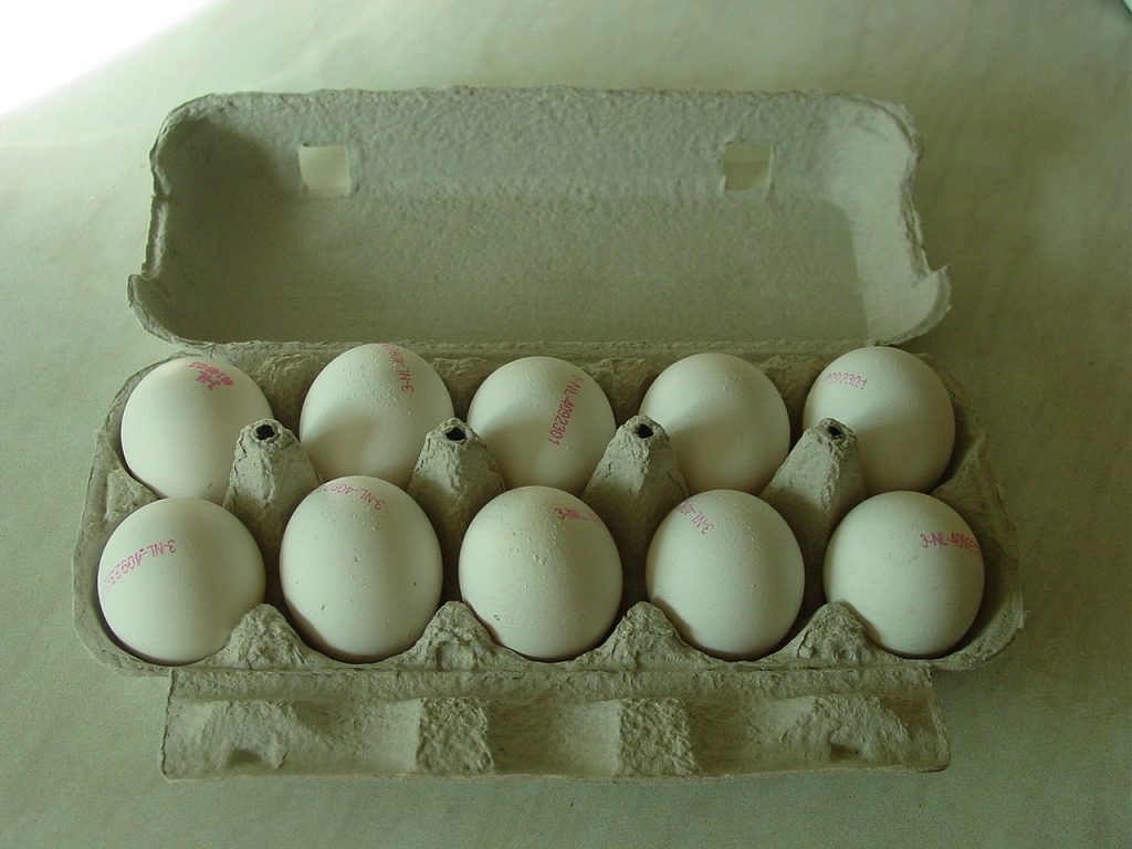 cara menjalankan bisnis telur asin 