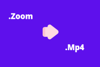 Convert Zoom Recording to Mp4 Ternyata Mudah, Lihat Ulasan Berikut !