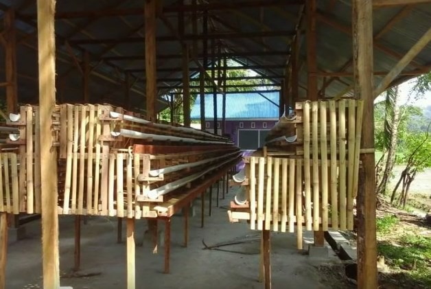 Berikut Ukuran Kandang Ayam Petelur Dari Bambu Yang Ideal