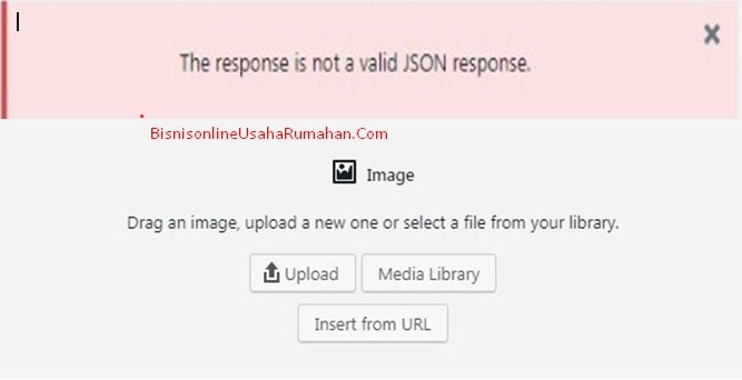 upload gambar muncul the response is not a valid JSON response