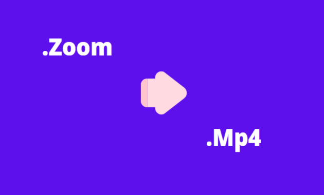 cara convert zoom recording to mp4